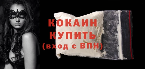 твердый Магас