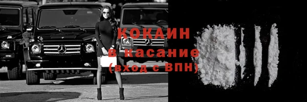 твердый Магас